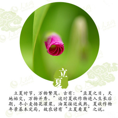 立夏來臨,液化氣儲罐廠家為你分享立夏如何養(yǎng)生